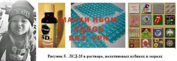 гидра Алексеевка
